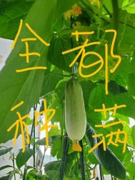 男人越理他他越不理你